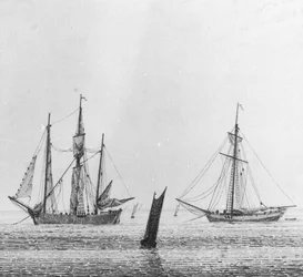 Farmhouses by a Hillside